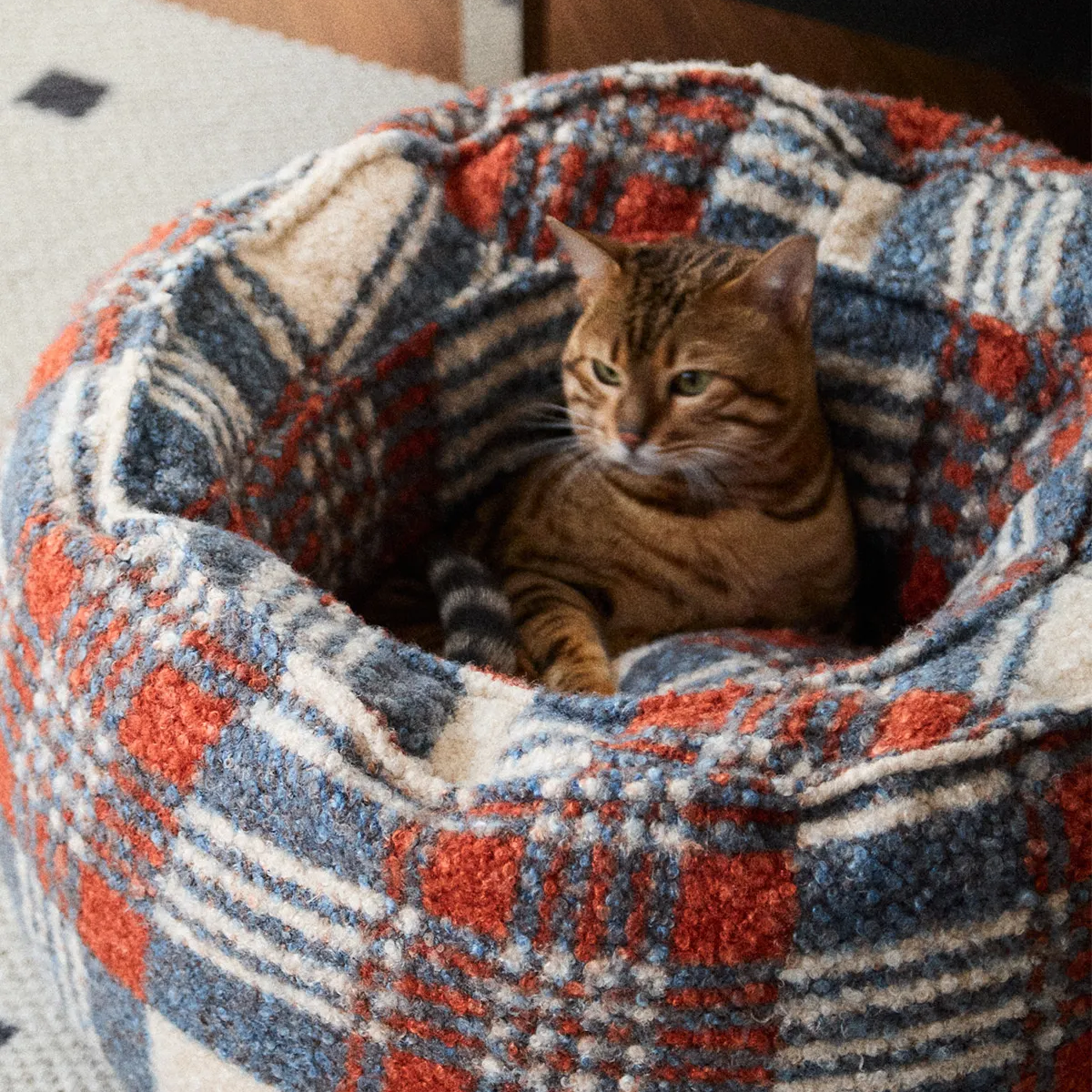  Cozy Cat & Small Dog Nest