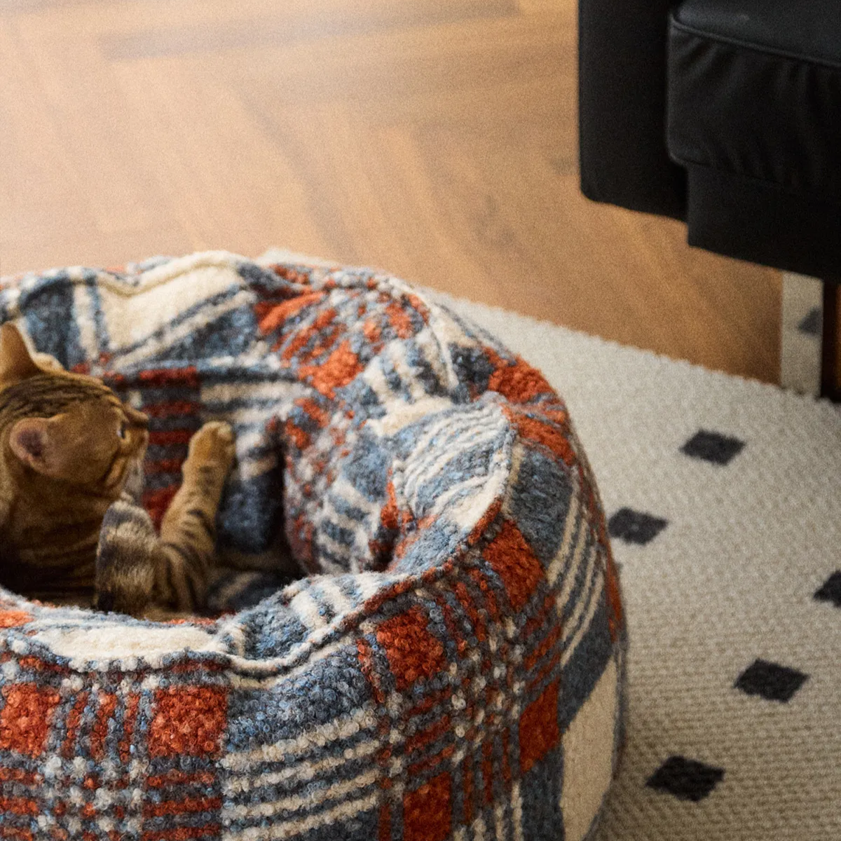 Buy Cozy Cat & Small Dog Nest