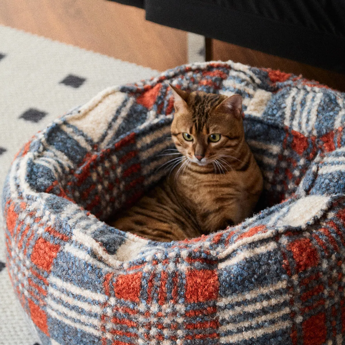 Buy Cozy Cat & Small Dog Nest